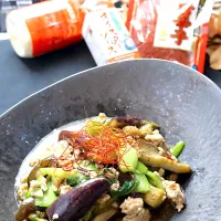 鶏ひき肉とチンゲン菜、茄子のオイスターソース炒め