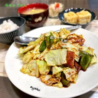 鶏肉とキャベツの黒酢ソース炒め|亜矢子さん