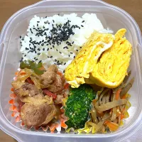 1/8お弁当|まむさん