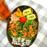 豚肉ピーマン炒め弁当|ルルさん