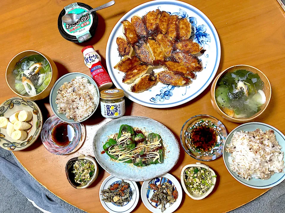 我が家の餃子🥟|さくたえさん