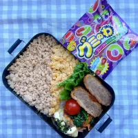 高校生お弁当166個目|さつまいこさん