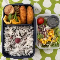 日の丸梅ひじき弁当|ひぐっちさん