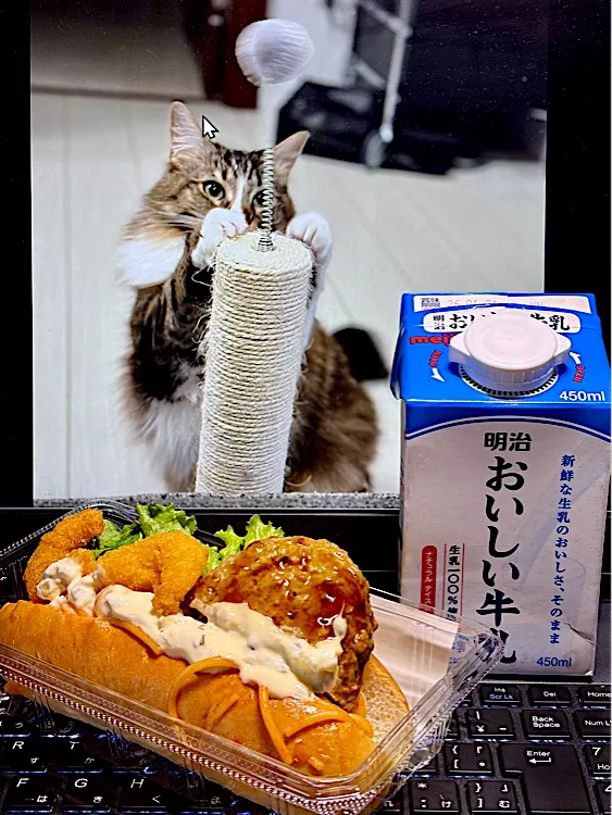 今日のお昼ごはん🌭|にゃあ（芸名）さん