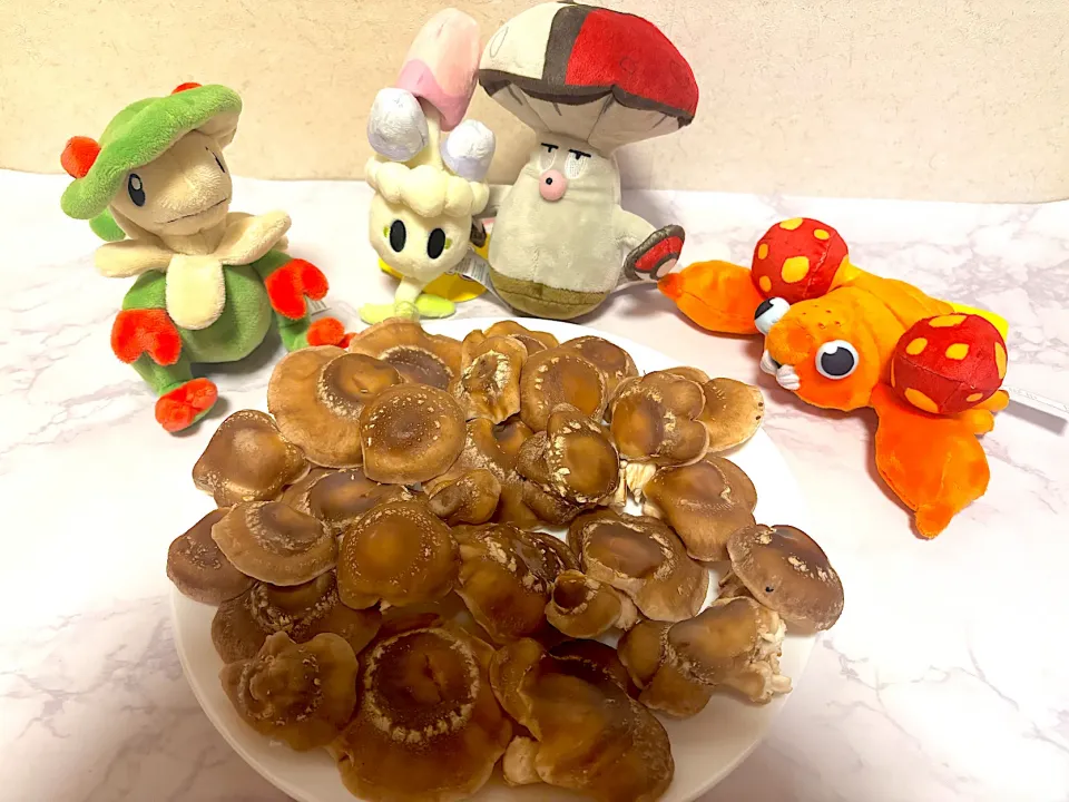 |ラムネキ🫧さん