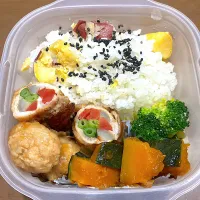 1／9お弁当|まむさん