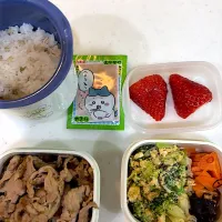 1月9日のお弁当🍱|momotoemiさん