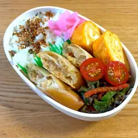 春巻き弁当|たまさん