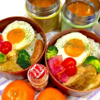 今日の夫婦弁⁽⁽ ◟(灬 ˊωˋ 灬)◞ ⁾⁾💕| 桃実さん