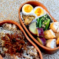 娘弁当|dra-kichiさん