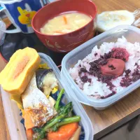 いつかのmyLaunch|チョコさん