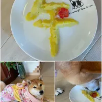 リズの分も忘れずに🐕 ͗ ͗🎍|yucca@さん