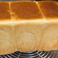 明日からの食パン|f.1125beさん