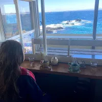 グァテマラ（はやと）＆マンデリン（ぼく）@「音楽と珈琲の店  岬」さん