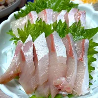 ぶりトロ刺身|ヒロミ🏝🏝🏝🌺🏄🌊🐬🏄‍♀️🏄‍♂️🍹🐠👙🌺さん