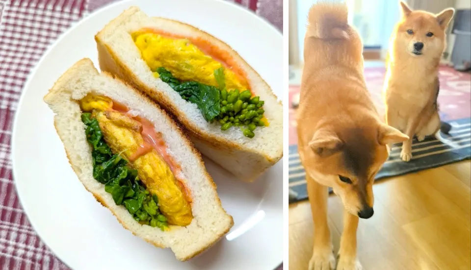 ポケットサンド トースト〜春キャベツのオムレツ（と癒し部隊）|chiaraさん