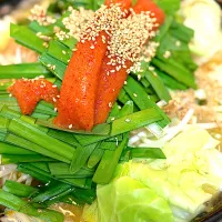 牛もつ明太子鍋|だまさん