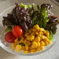 サラダ|sanaeさん