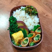 1/11模試弁当|いりごまさん