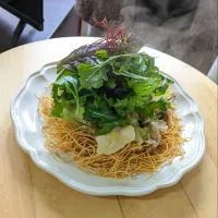 サラダ仕立てのかた焼きそば