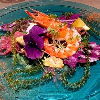 |camille nelsonさん