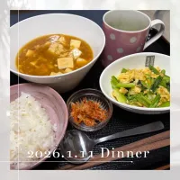 ピリ辛麻婆豆腐|いのっちさん