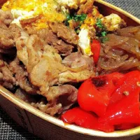 わっぱお弁当|マイさん