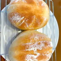 今年初のミルクハース| masaさん