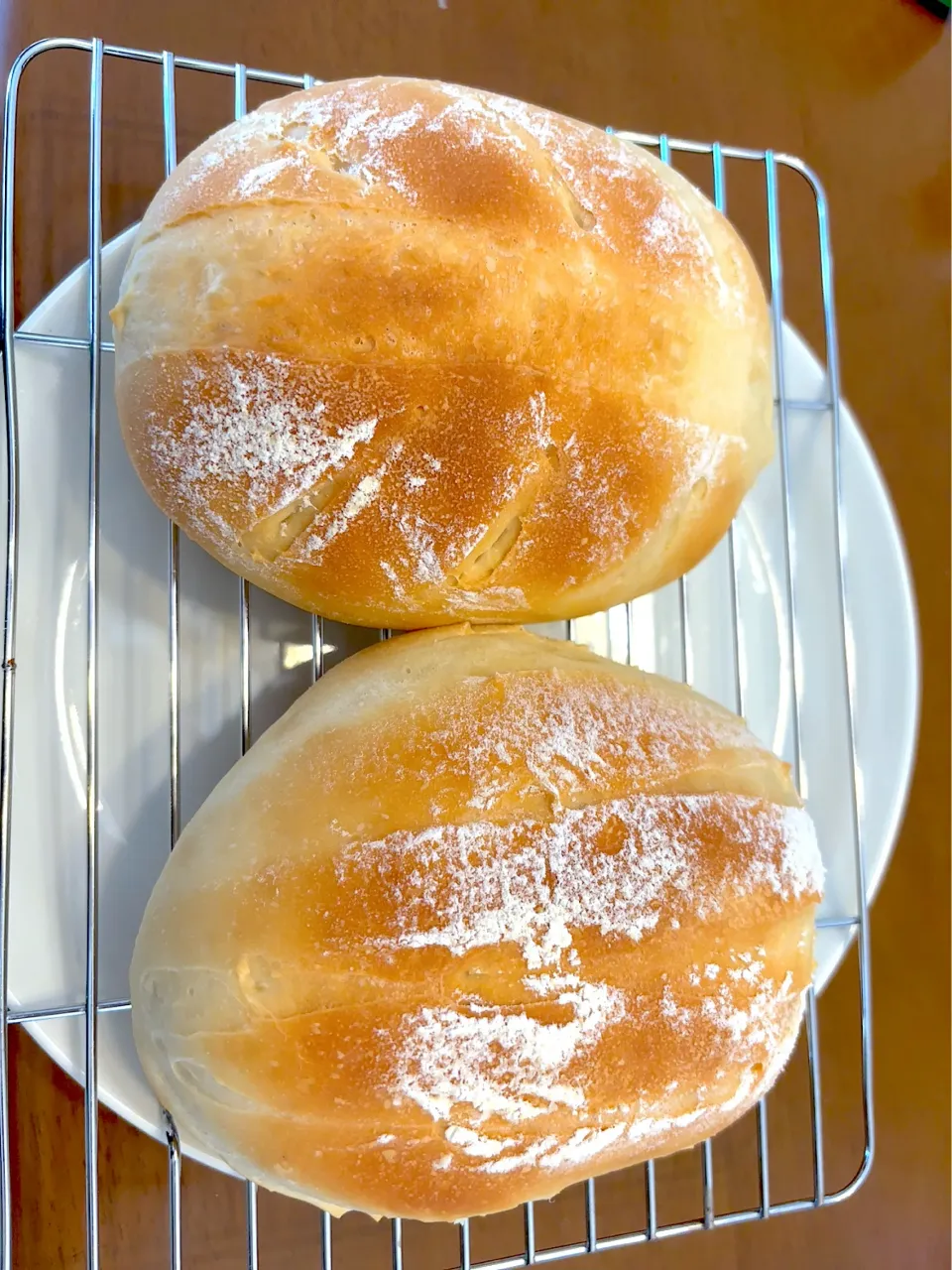 今年初のミルクハース|masaさん