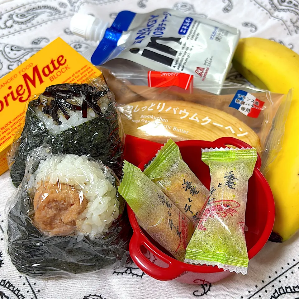 おにぎり弁当|SaDaさん