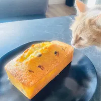 ブルーベリーパウンドケーキ　と猫|@y@さん