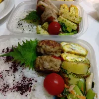 小松菜炒めれんこんはさみバーグ弁当|yayoi.Kさん