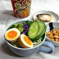 紫キャベツをサラダに|かっちゃん杉さん