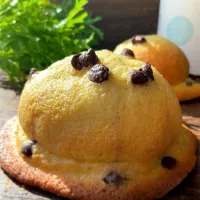 スイートブール👒帽子パン|9421beruさん