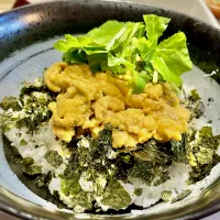ウニ丼