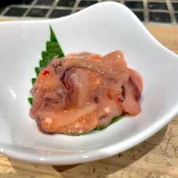 イカ柚木明太|T. Wonderさん