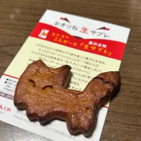 おきつね生サブレ|Morito Kamiyaさん