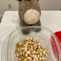 2026/1/13   かぼちゃ類の種のロースト　Roasted Winter Squash Seeds|21 Boys & 野鳥さん