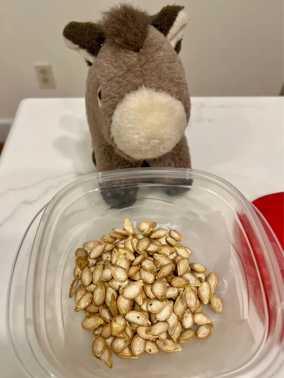 2026/1/13   かぼちゃ類の種のロースト　Roasted Winter Squash Seeds|21 Boys & 野鳥さん