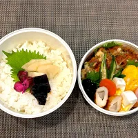 高校生息子のお弁当🍱 オレンジチキン南蛮弁当🍱|Snow10さん