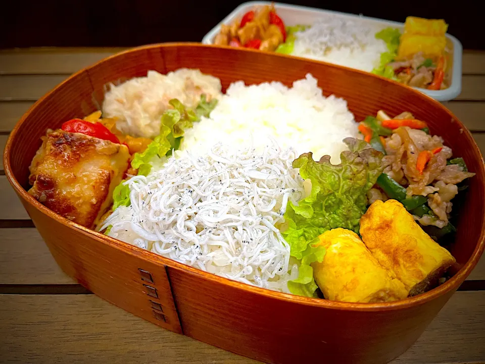 今日のお弁当|Dayuuさん