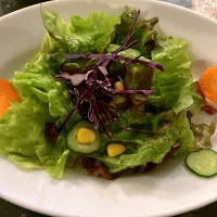 顔サラダ|meixuziさん