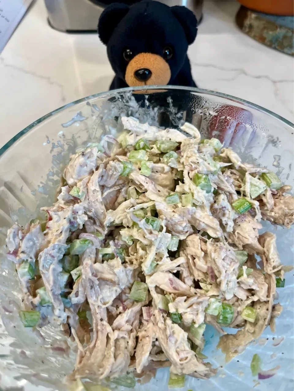 2026/1/14   チキンサラダ　Chicken Salad|21 Boys & 野鳥さん