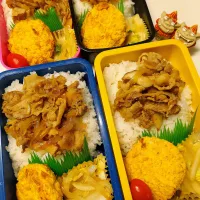 息子、夫、私、娘弁当|みどりさん