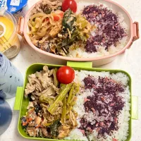 今日のお仕事弁当♪2026.1.15| ぐぅさん