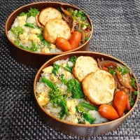 母とムスコのラブラブおソロ♪大好きな菜の花ごはん弁当