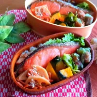 鮭弁🐟️|さらママさん