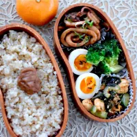 娘弁当|dra-kichiさん