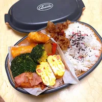 鶏マヨ弁当|めぐりんさん