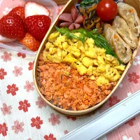 1/15 鮭3色そぼろ弁当|JUNe28さん